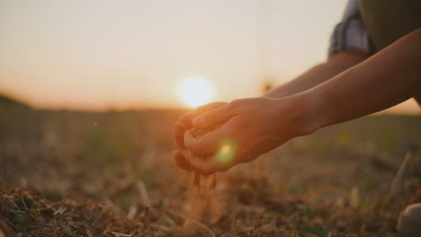 farmer examining soil at sunset