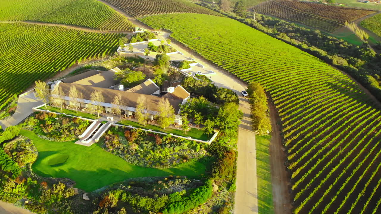 Aerial View of a Vineyard Landscape
