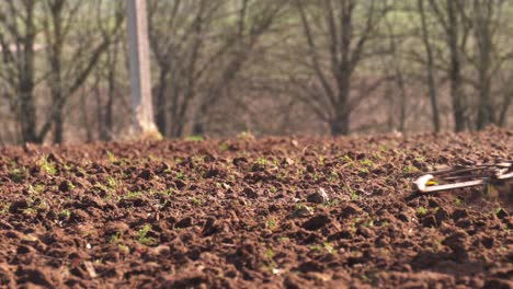 Vista-De-ángulo-Bajo-Del-Viejo-Tractor-Con-Cultivador-Arado-De-Suelo-Agrícola