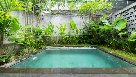a small luxury swimming pool in a tropical garden