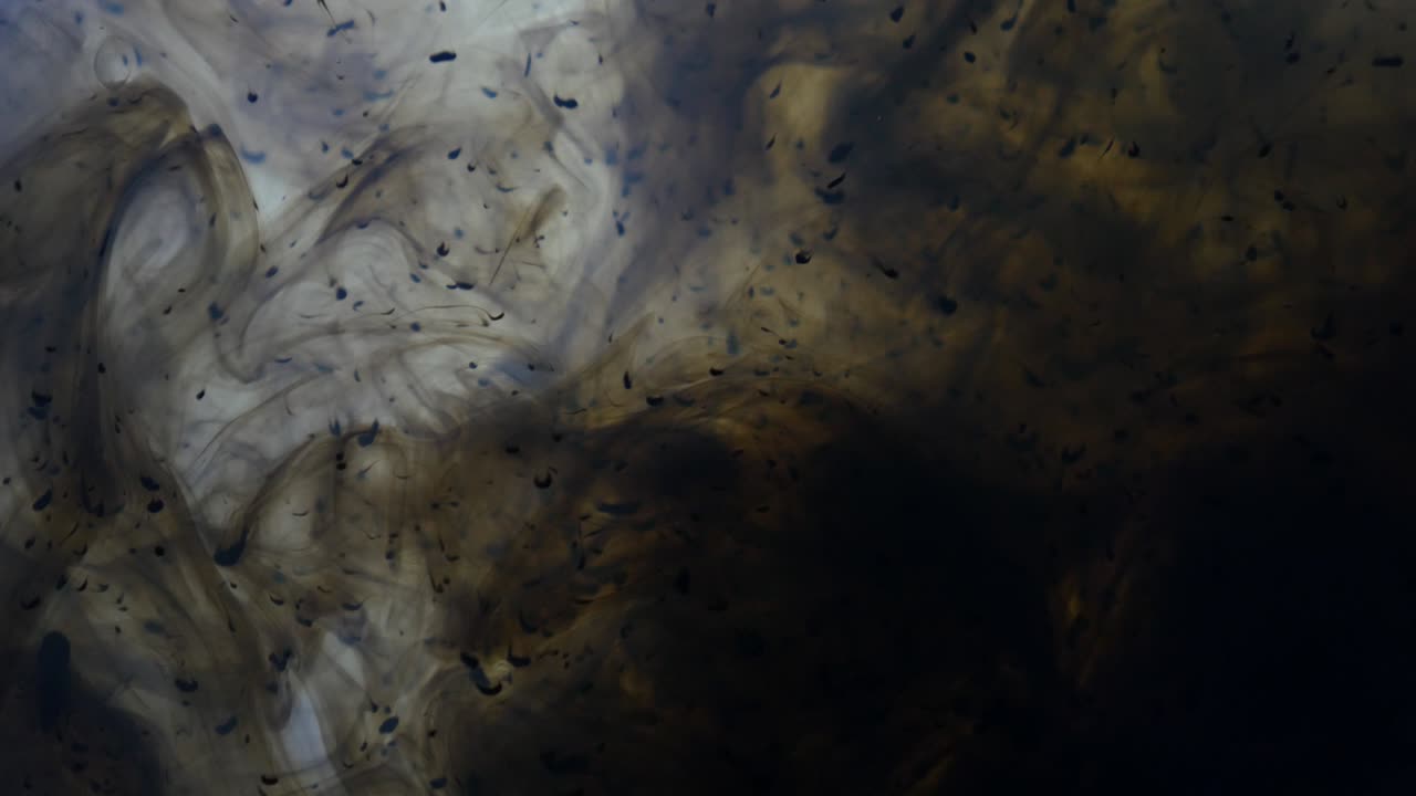 оливковые краски падают в воду.