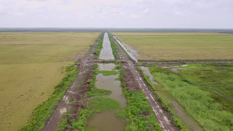 aerial: river flowing through open rice fields in nickerie suriname, drone flyover