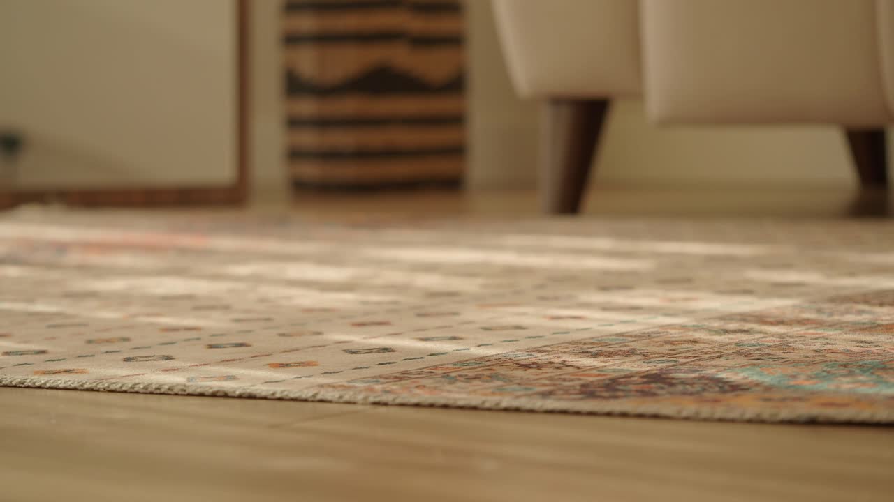Tappeto accogliente su pavimento in legno con luce solare e arredamento per la casa.