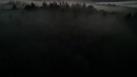 Antena-De-Amanecer-De-Niebla-épica-En-El-Bosque-De-Pinos-De-Vermont