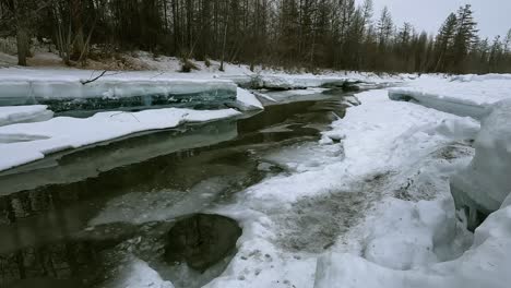 Un-Arroyo-Descongelado-Con-El-Telón-De-Fondo-De-Un-Bosque-Sombrío