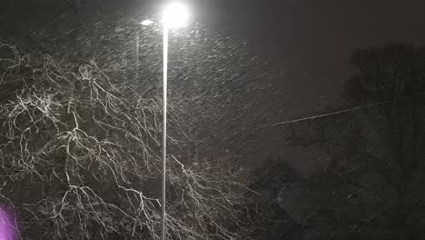 nevadas pacíficas a través de la escena nocturna de invierno del vecindario de la ciudad estacional de la luz de la calle