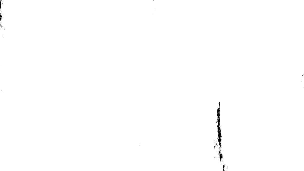 Dynamic Black and White Brush Stroke Transition Reveal
