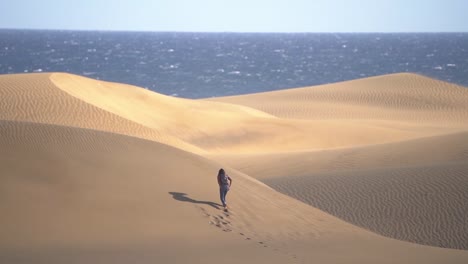 Dune-against-seascape,-desert-near-seashore