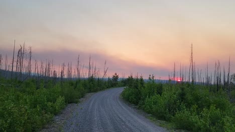 view down vegetated dirt roadway of haze in sky and red sunset from wildfire smoke in ontario, canada