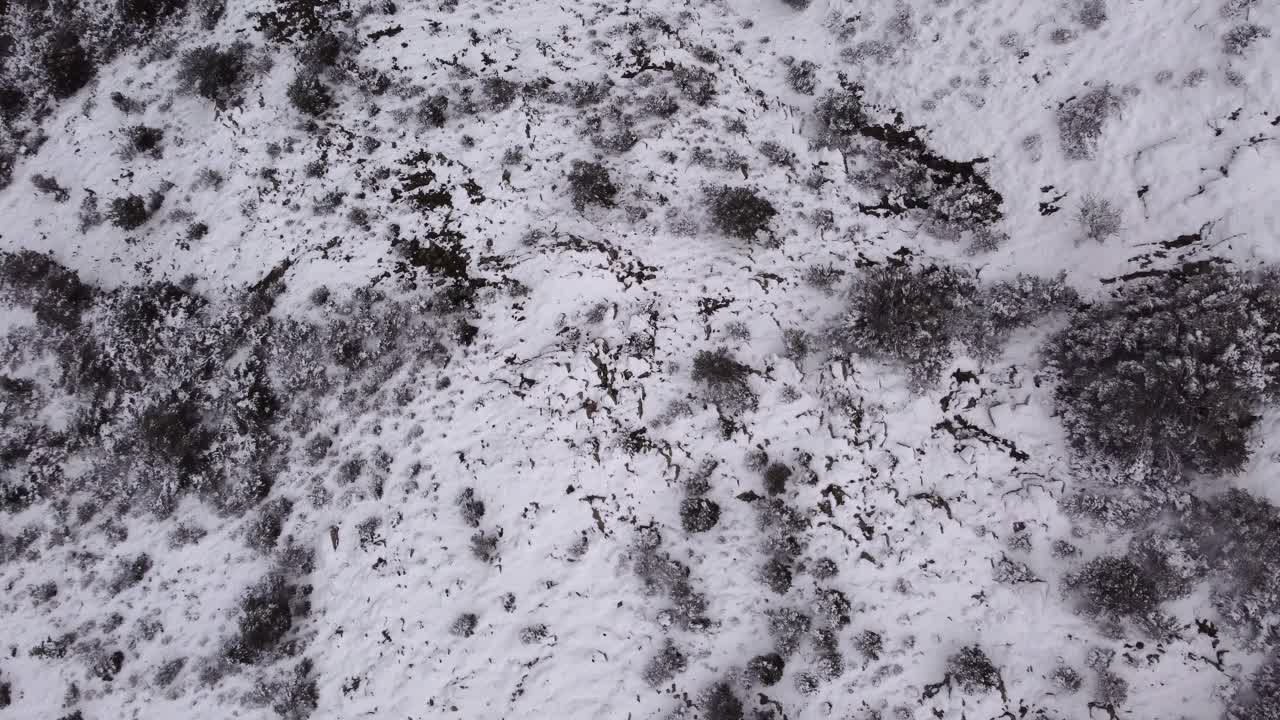 Top-Down-Drohnenaufnahme aus der Luft von einer abstrakten verschneiten Bergtextur, Orbit, Winter