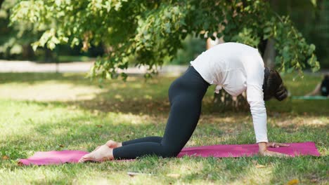 mujer practicando yoga al aire libre en un parque