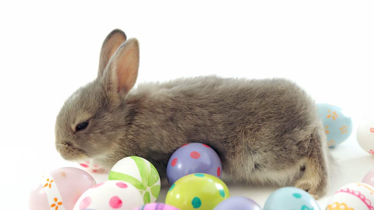 부활절 달 ⁇ 과 부활절 토끼