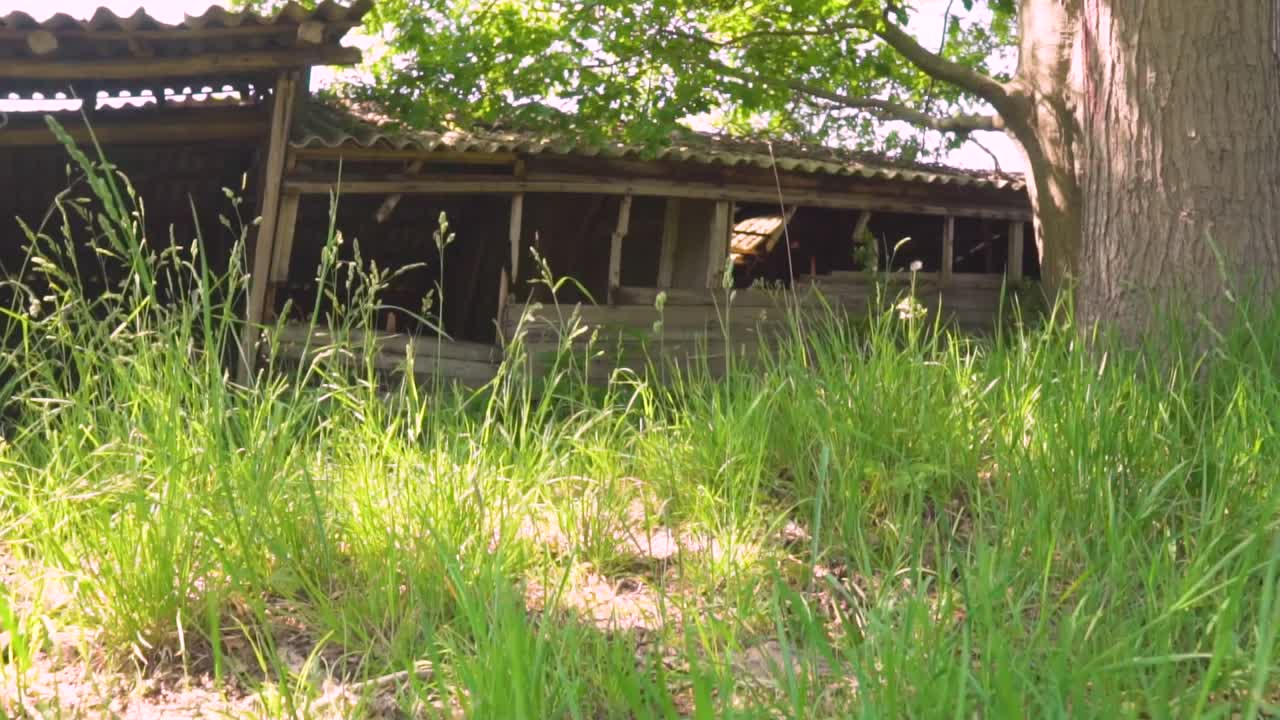 들판 에 있는 은 나무 창고