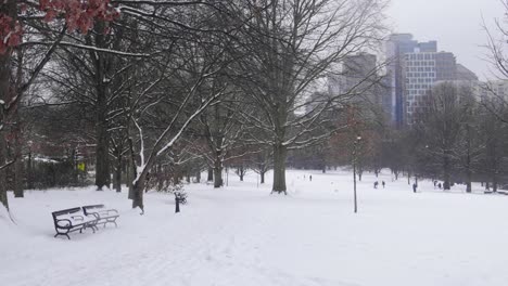 snow covered piedmont park in atlanta, georgia.