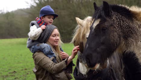 mother and child stroking horse on walk shot on r3d