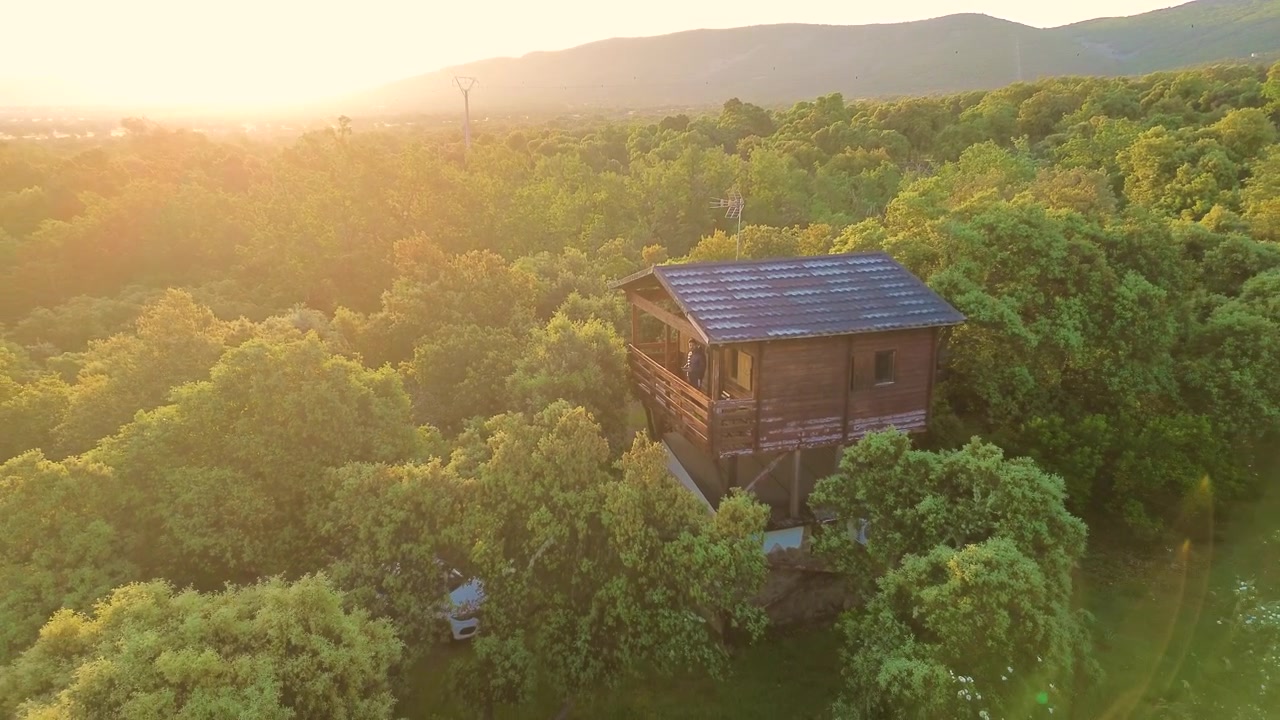 Drone som trekker seg bort fra en trehytte i en vidstrakt skog ved solnedgang, et luftopptak som avslører naturlandskapet og konseptet om økologisk livsstil.