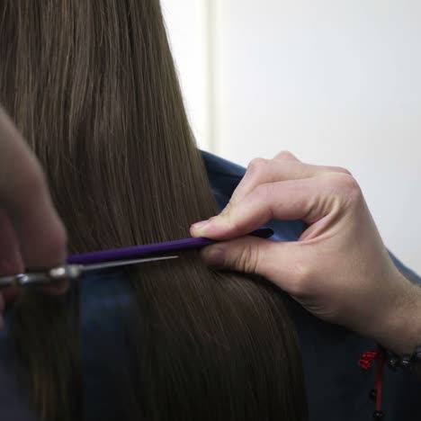 cortar el cabello en un salón de belleza