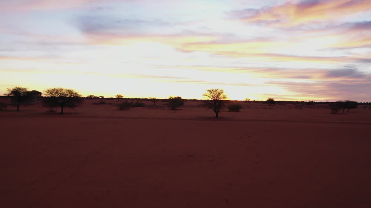 A long and fast drone shot over the red sand in the desert of Namibia, Africa. Some trees and gras.