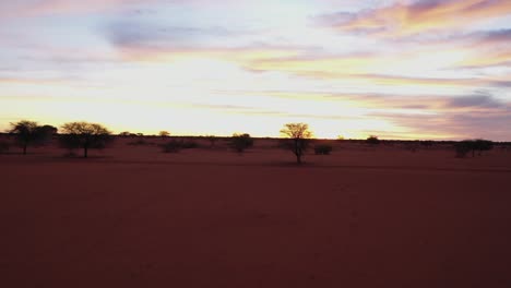 a long and fast drone shot over the red sand in the desert of namibia, africa. some trees and gras.