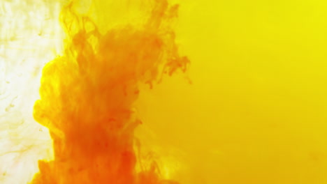 pintura o tinte amarillo y naranja caído en el agua contra un fondo blanco para crear un fondo de humo de colores giratorios 7