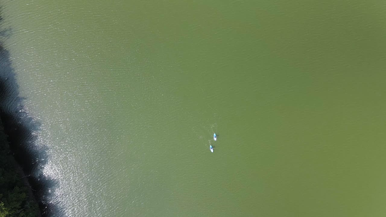 vista aérea de arriba hacia abajo de 2 surfistas de remo en el lago verde