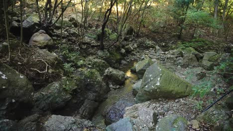 Japanisches-Bergtal-Mit-Bach,-Der-Durch-Unberührte-Natur-Fließt-4k