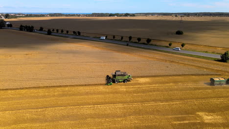 tractor with loaded grain trailer leaves the combine harvester, machine continues harvesting, field close to the roadway