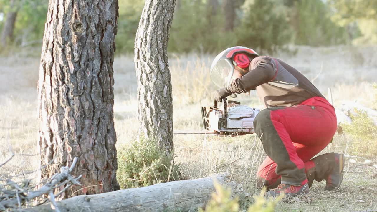 trabajadora profesional de árboles cortando un árbol en un bosque español usando una máquina de aserrar
