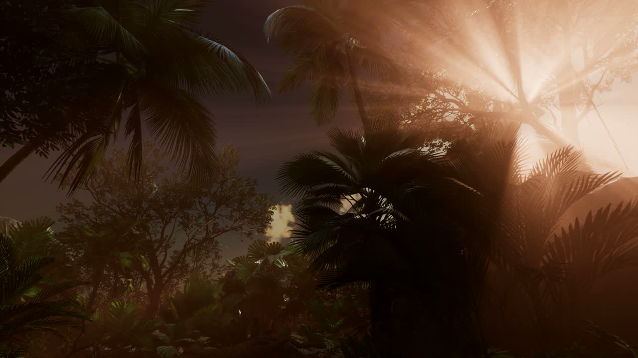 los rayos del atardecer a través de las palmeras