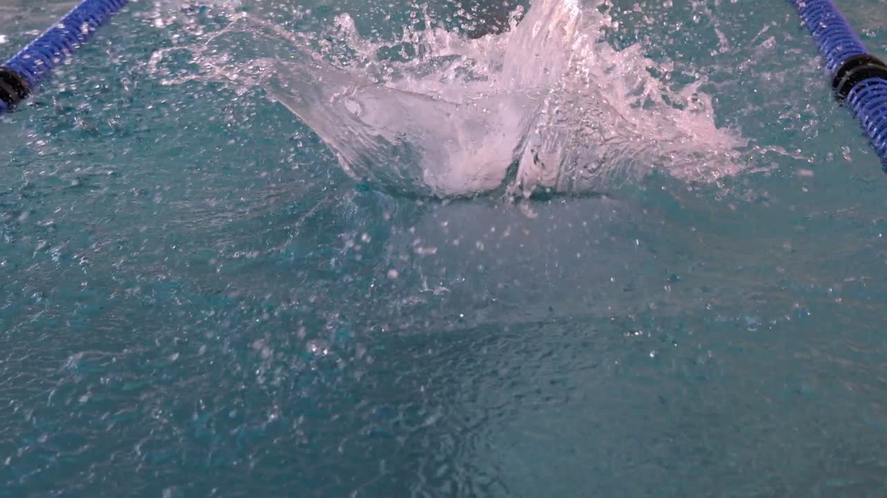 수영장 에 다이빙 하는 적합 한 수영자