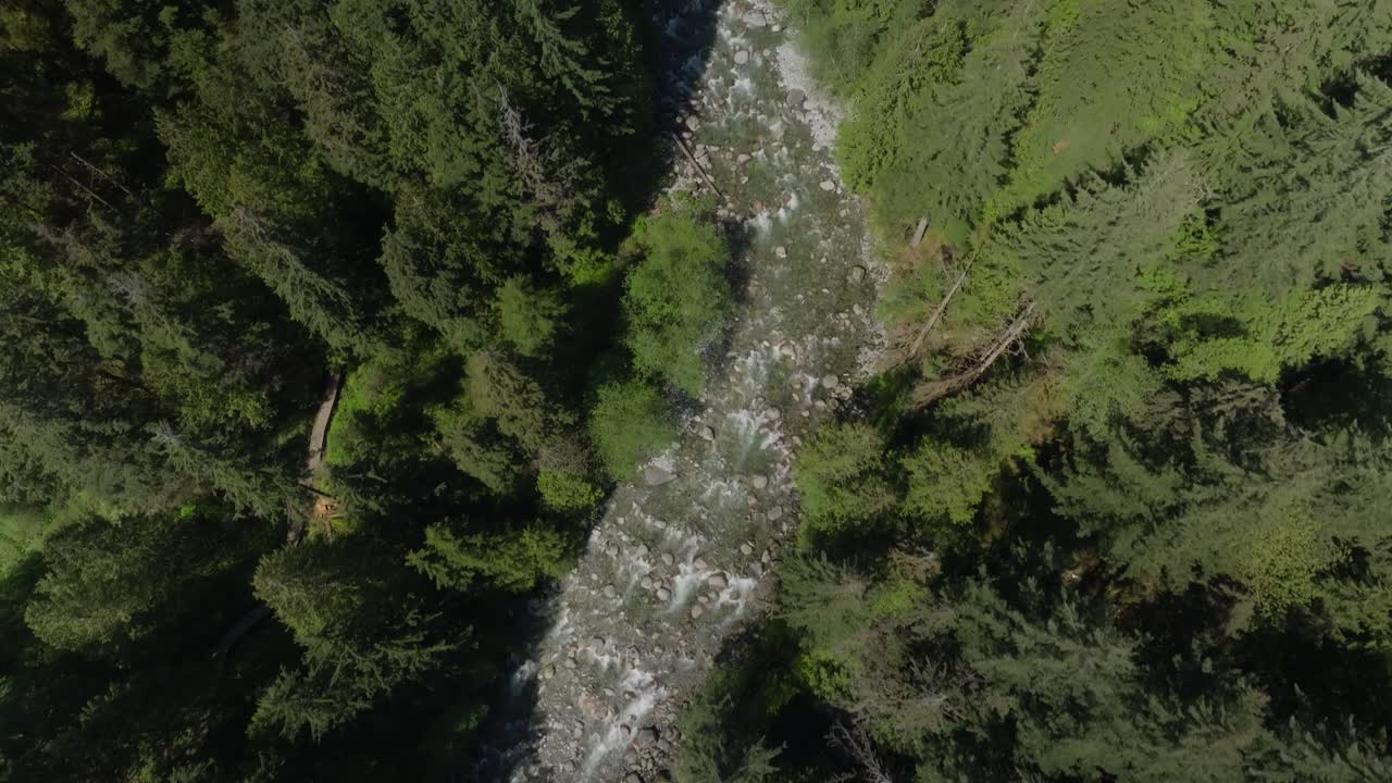 Bird's Eye Drone of River Running Through Forest