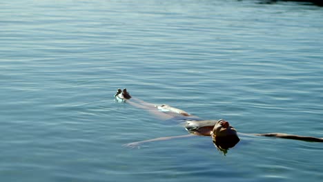 woman swimming in the water at beach 4k