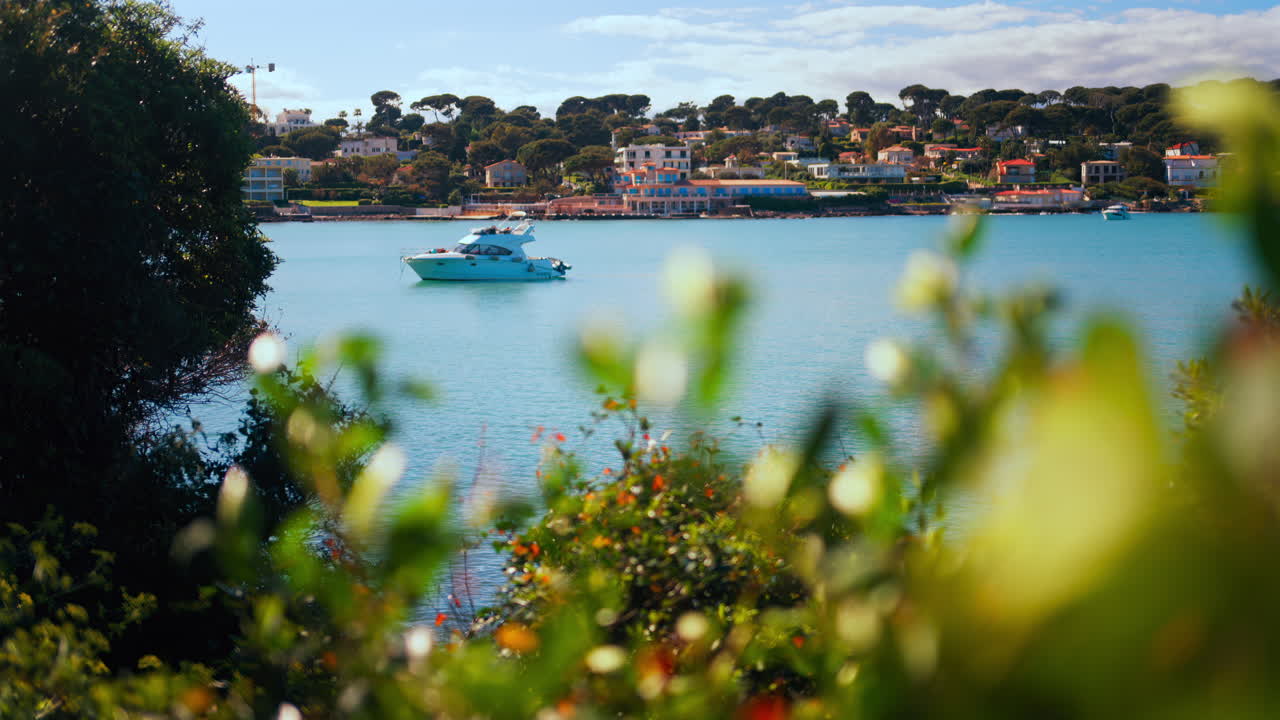 Close up of a green tree branch with a blurry view of boats floating on the sea
