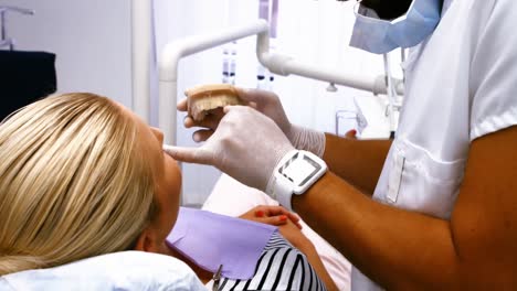 dentist showing model teeth to female patient