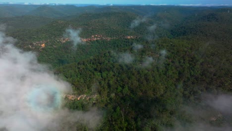 aerial view of a misty forest and mountains