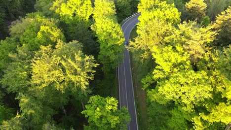 Aerial,-top-down-view-of-road-in-forest-with-car-passing-by
