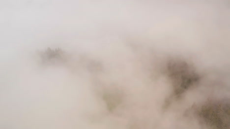 aerial of mist and fog rolling over forest on mountain