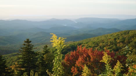 Blumen-Wehen-Am-Frühen-Morgen-Am-Rande-Eines-Bergpanoramas-Voller-Bäume-Und-Deren-Blätter-Wechseln-Ihre-Farben