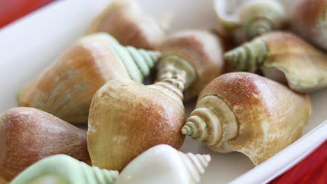 freshly prepared sea snails