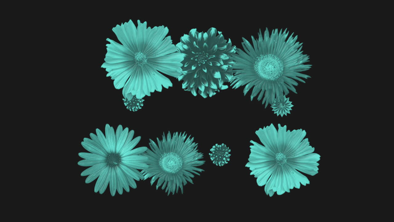 primer plano animado flores fondo de verano