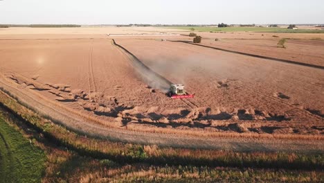 Tractor-combine-creating-a-long-straight-line-in-a-grain-crop-field