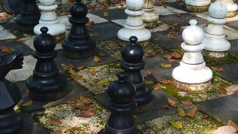 Looking-abandon-chess-pieces-in-the-park-with-yellow-and-dry-leaves