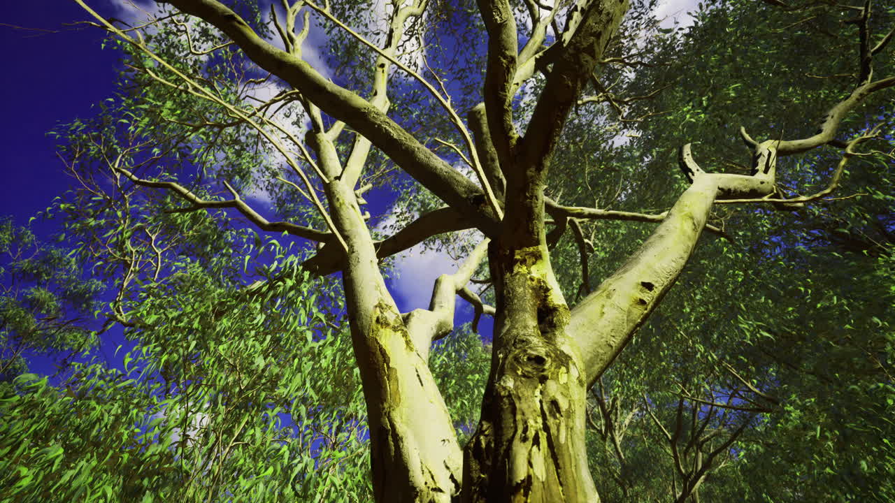 Tall tree with vibrant green leaves under bright blue sky at noon