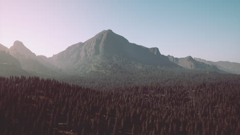 Mountains-covered-with-woods-in-the-early-morning-mist