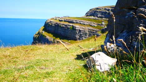 Sunny-coastal-rocky-mountain-grass-closeup-blowing-in-ocean-breeze-on-cliff-edge-left-dolly-shot