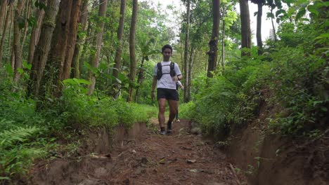 person hiking in a lush forest trail