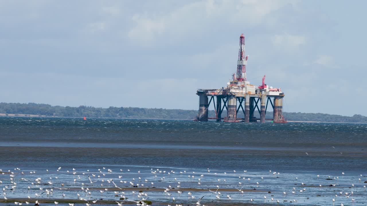 Wide shot of oil platform, tidal flats, and gulls in daylight, industrial coastal landscape