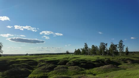 una vista impresionante muestra el terreno único de yakutia, destacado por la vegetación exuberante y el cielo vibrante, invitando a los entusiastas de la naturaleza a explorar su belleza