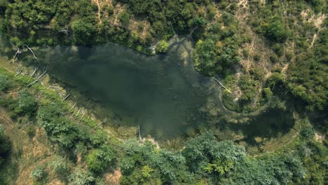 Aerial-top-down-view-of-small-pond-with-algae-surrounded-by-green-nature,-Europe