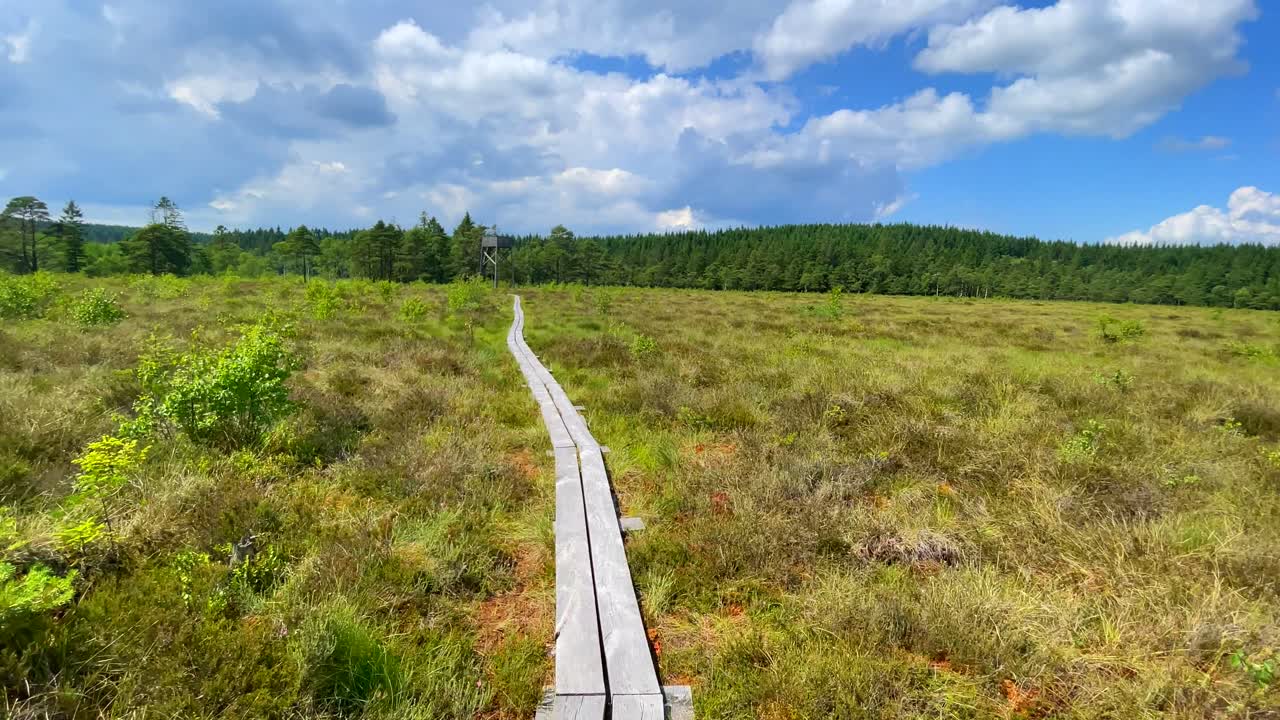 자연을 통해 나무 길을 걷고